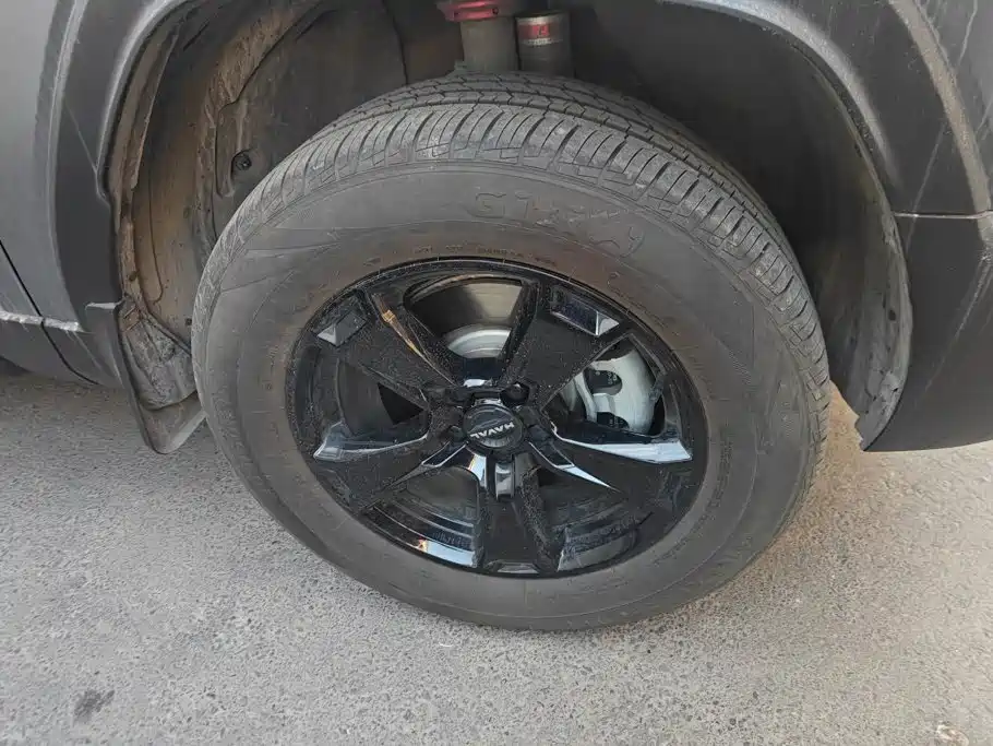 Haval Menglong New Energy — миниатюра 6