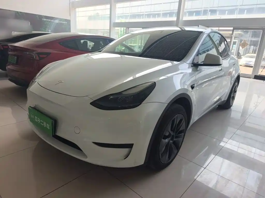 Tesla Model Y — миниатюра 2