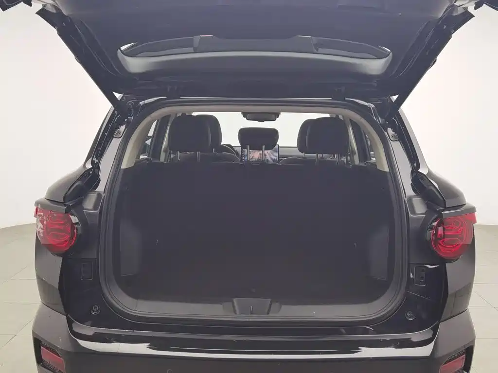 Haval Big Dog PLUS New Energy — миниатюра 16