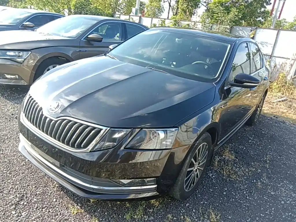 Skoda Octavia — миниатюра 2