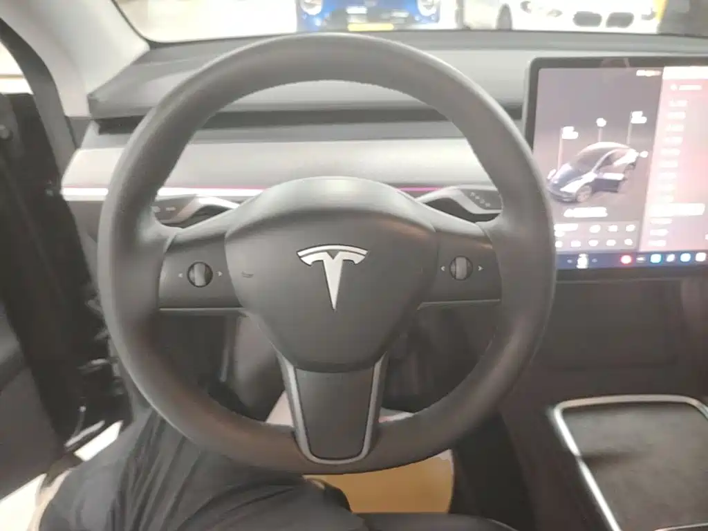 Tesla Model Y — миниатюра 11