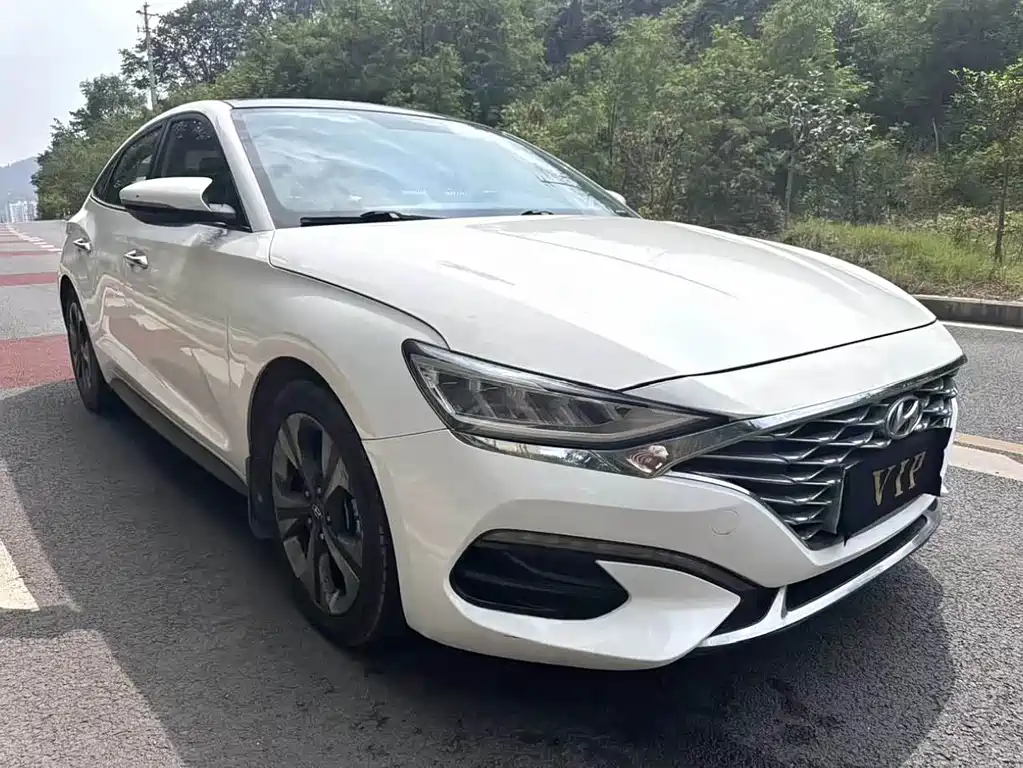 Hyundai Fista — миниатюра 3