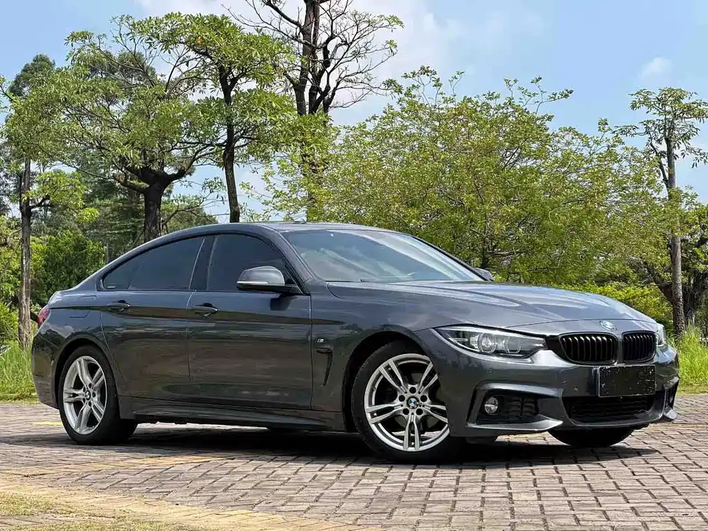 BMW 4 Series 425i Gran Coupe Premium Type M Sport Package, фото 2