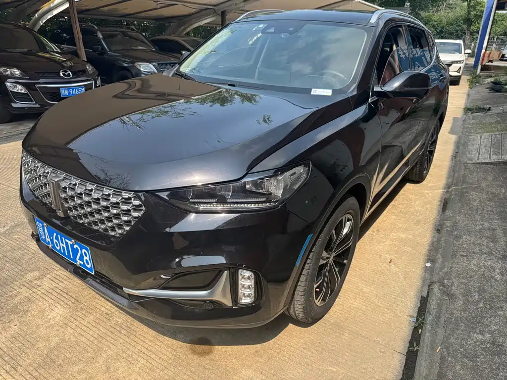 Wey Wey VV6 2020