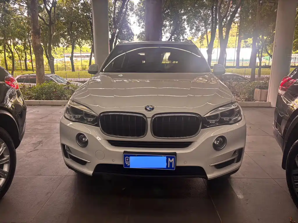 BMW X5 (Import) — миниатюра 2