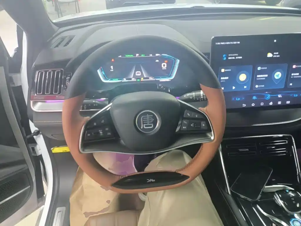 BYD Tang New Energy — миниатюра 11