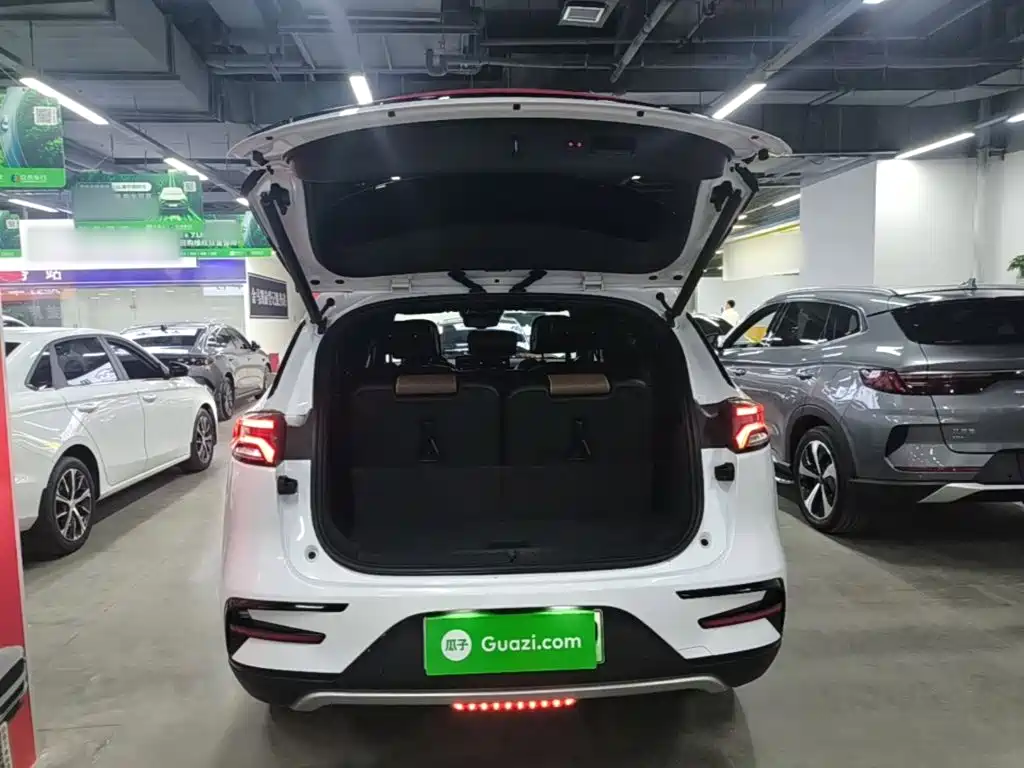 BYD Tang New Energy — миниатюра 19