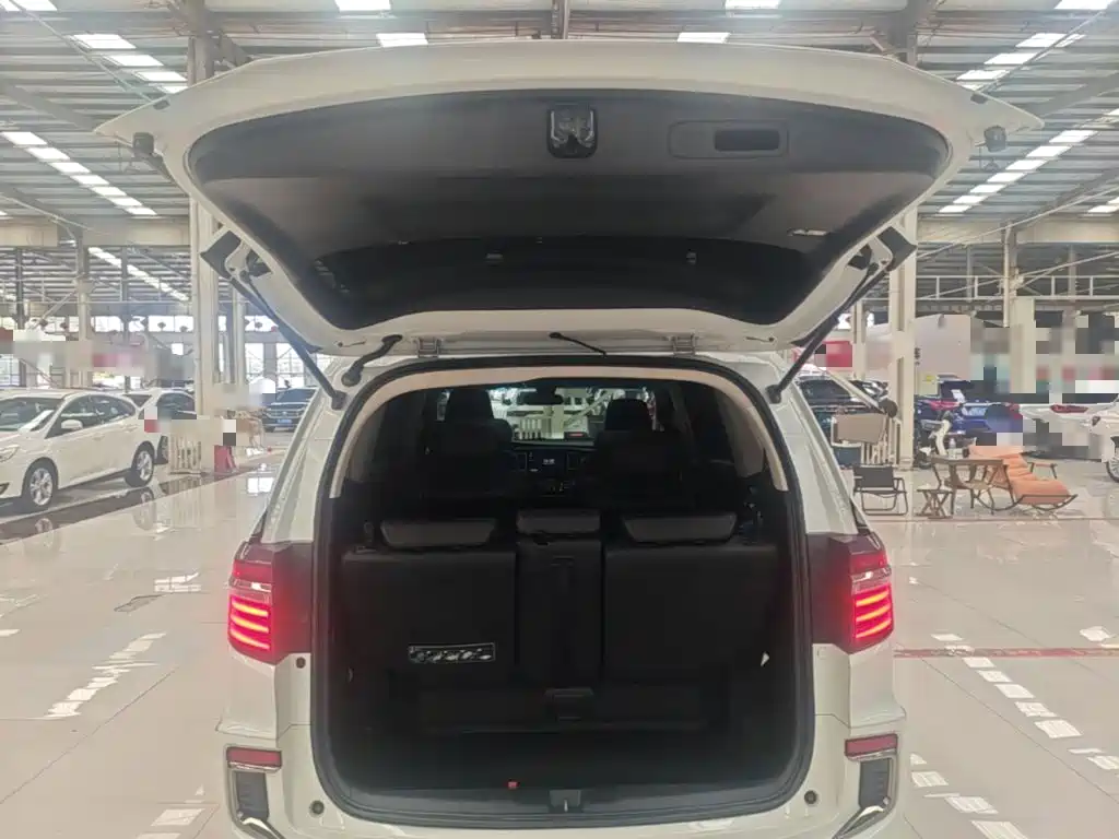 Honda Elysion — миниатюра 19