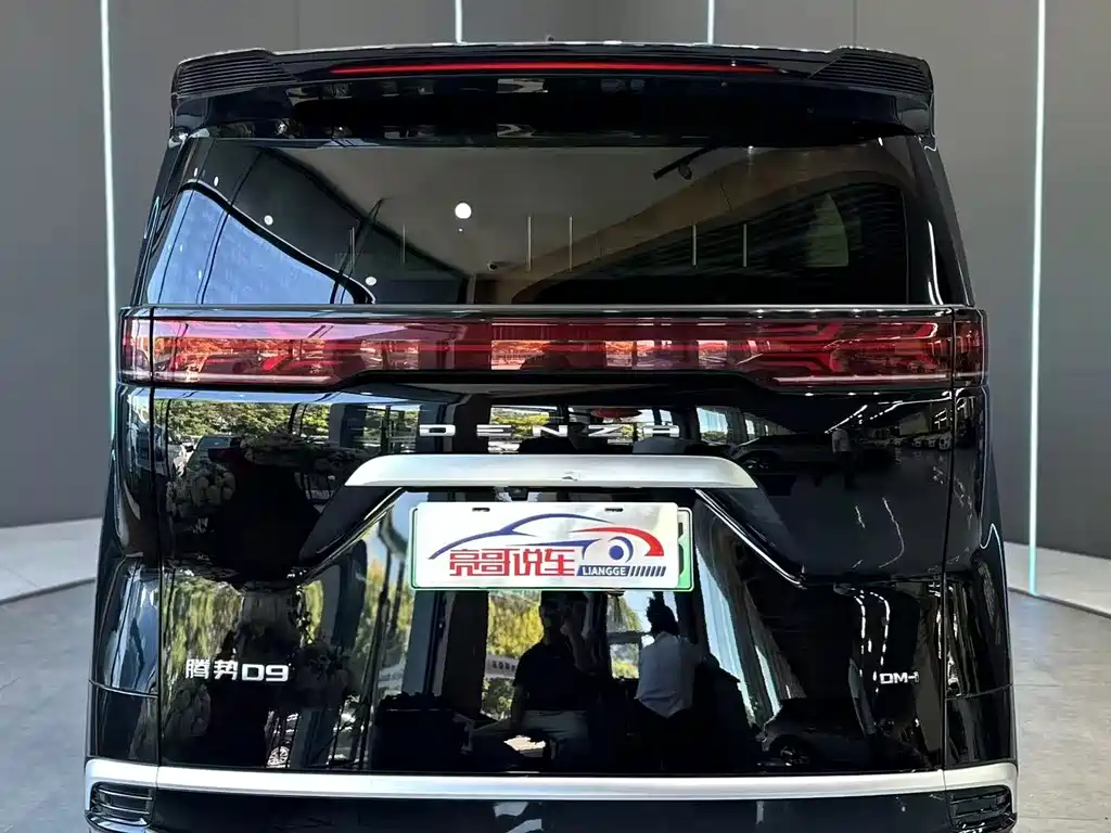 Denza Denza D9 — миниатюра 7