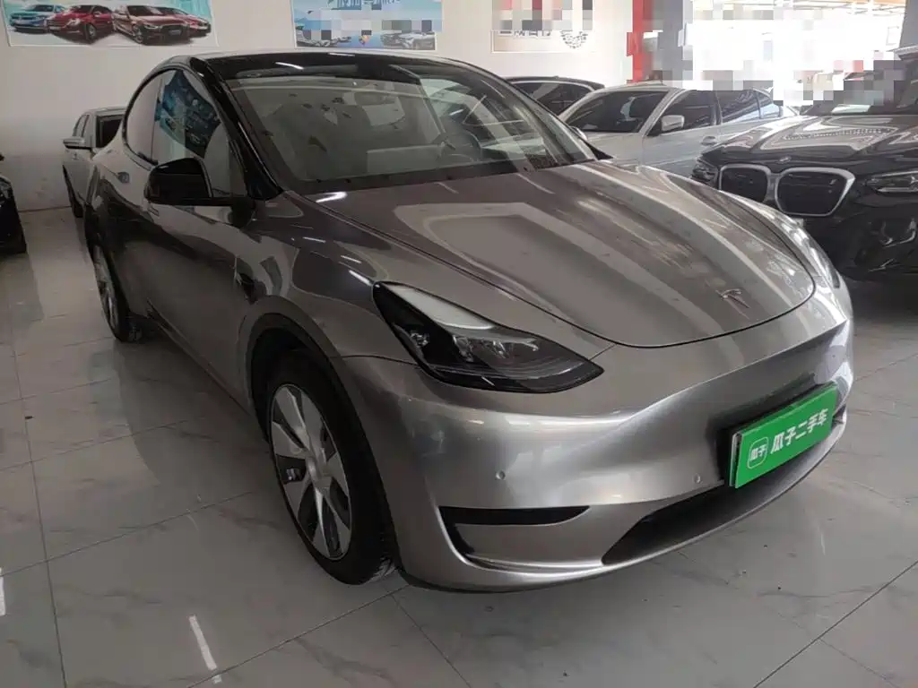 Tesla Model Y — миниатюра 4