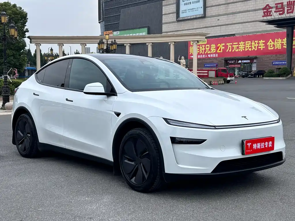 Tesla Model Y — миниатюра 3