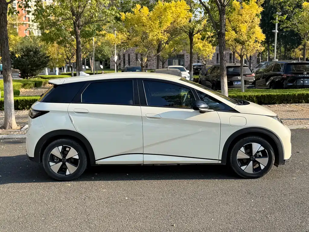 BYD Dolphin — миниатюра 8