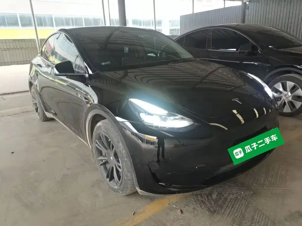 Tesla Model Y — миниатюра 4
