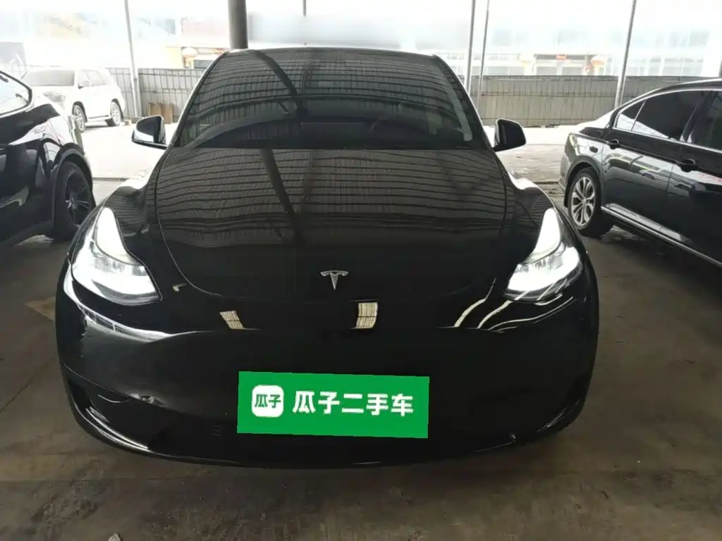 Tesla Model Y — миниатюра 3