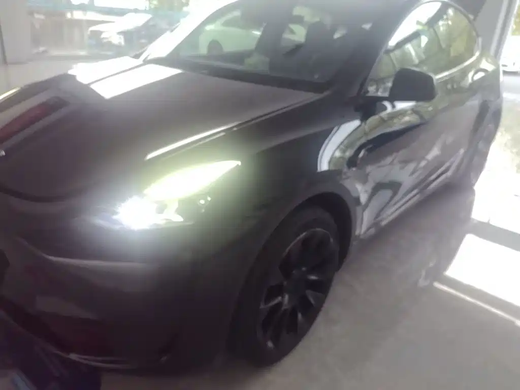 Tesla Model Y — миниатюра 2