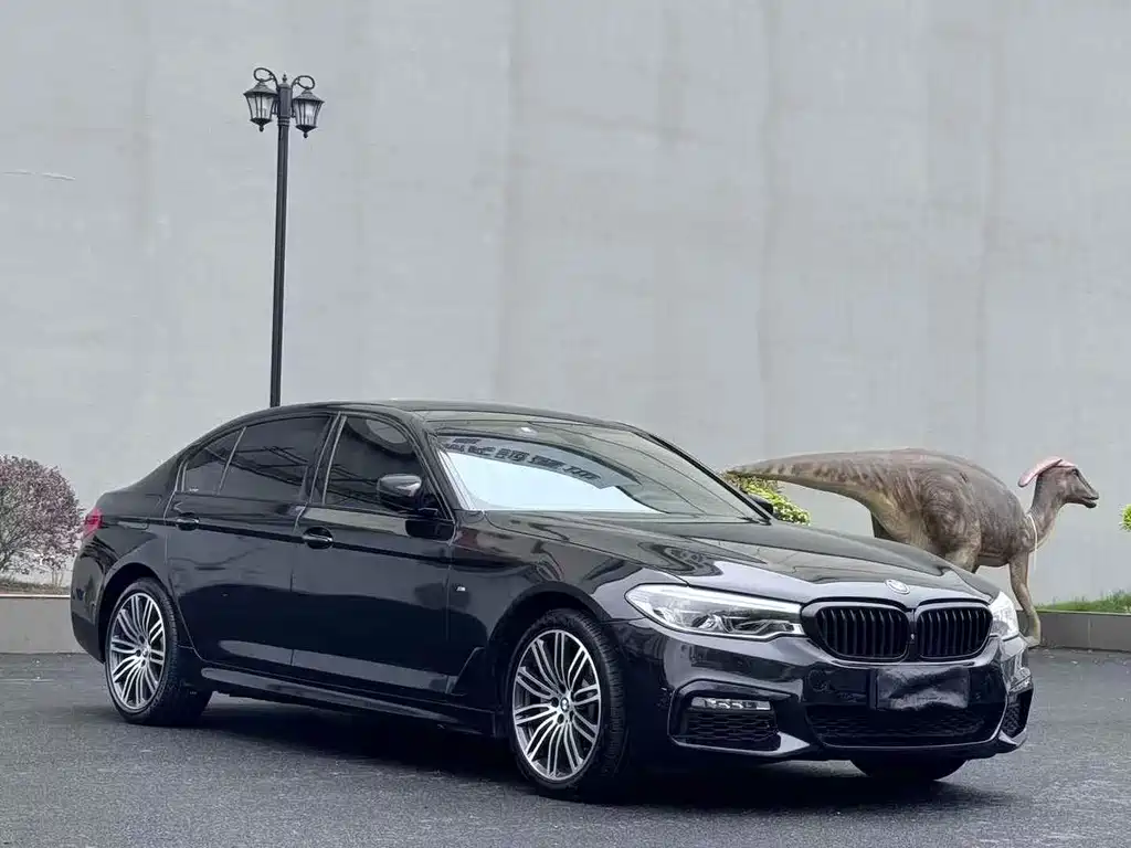 BMW 5 Series — миниатюра 3