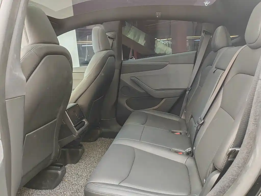Tesla Model Y — миниатюра 8