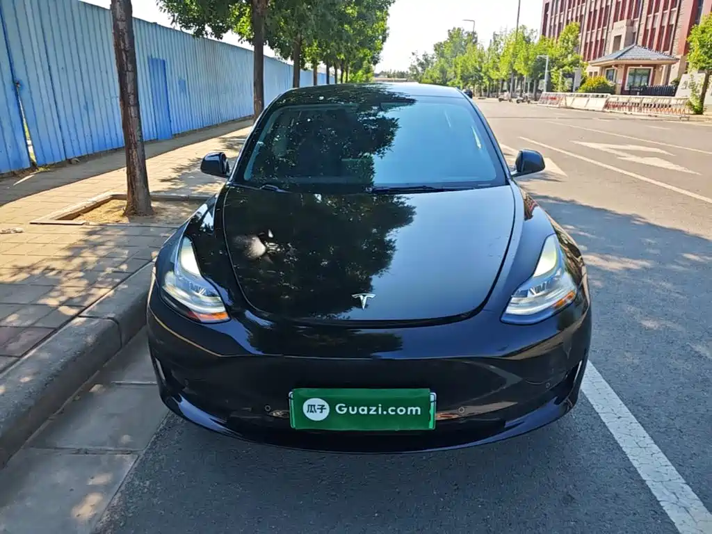 Tesla Model 3 — миниатюра 3