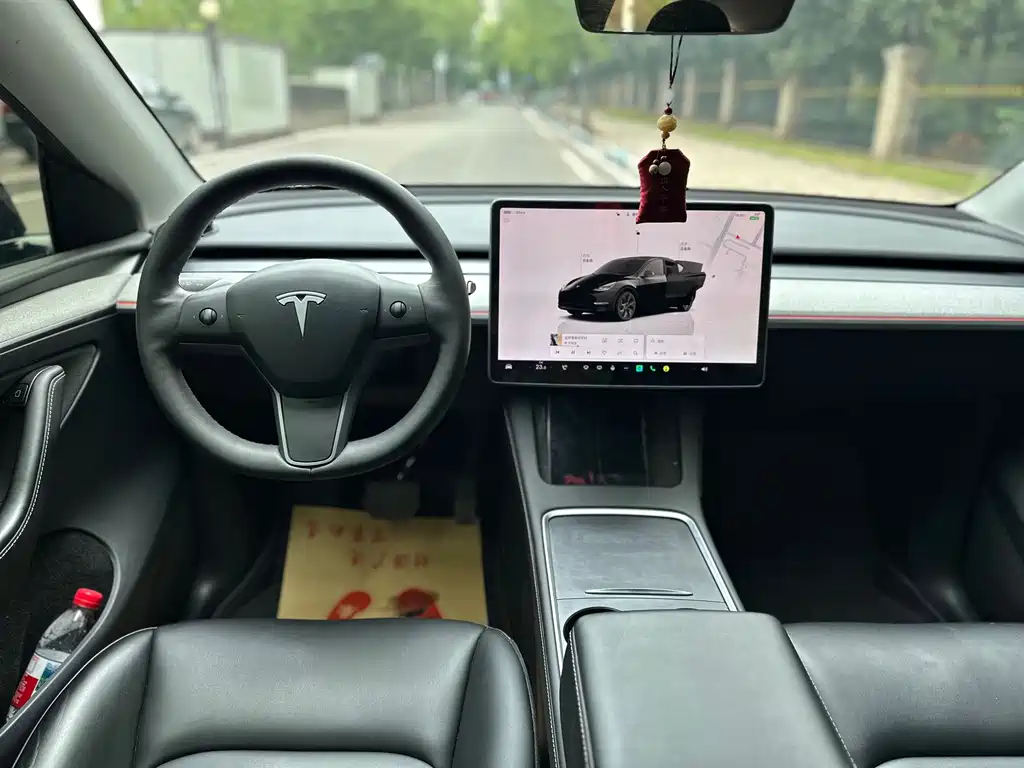 Tesla Model Y — миниатюра 5