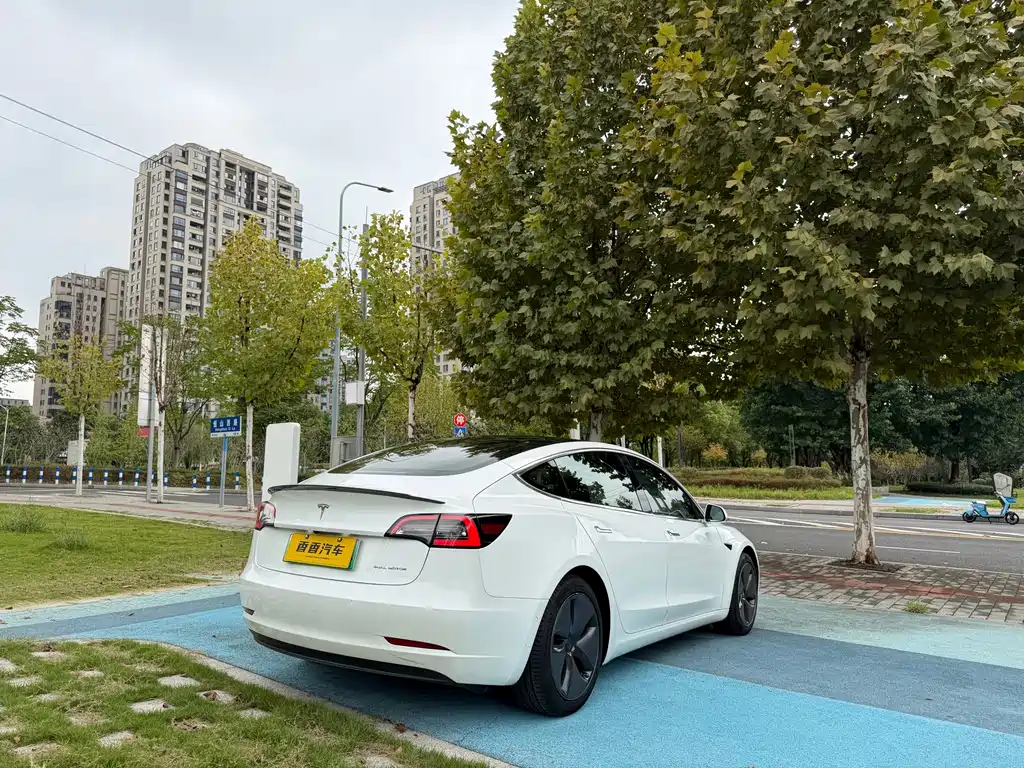 Tesla Model 3 — миниатюра 6