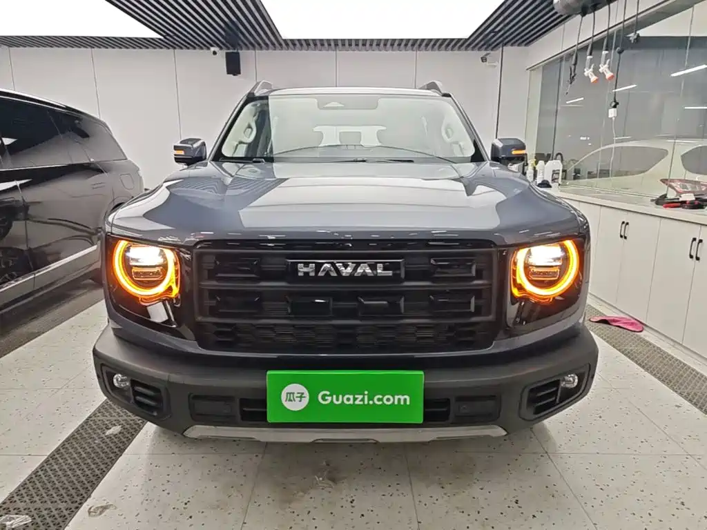 Haval Big Dog — миниатюра 3