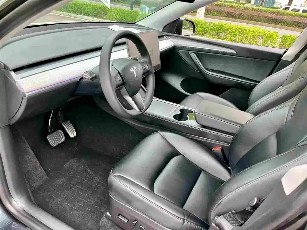 Tesla Model Y — миниатюра 4