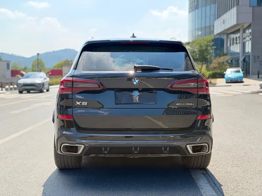 BMW X5 — миниатюра 9