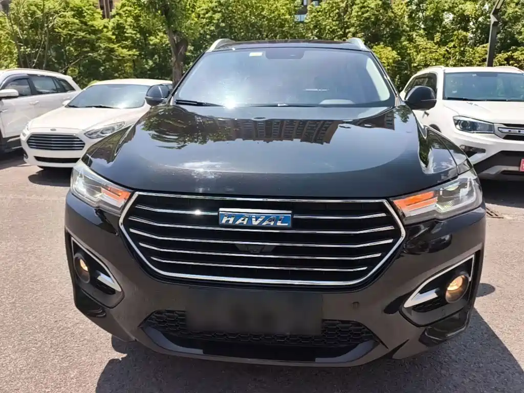 Haval H6 — миниатюра 3