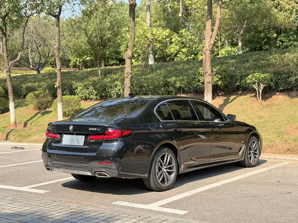 BMW 5 Series — миниатюра 8