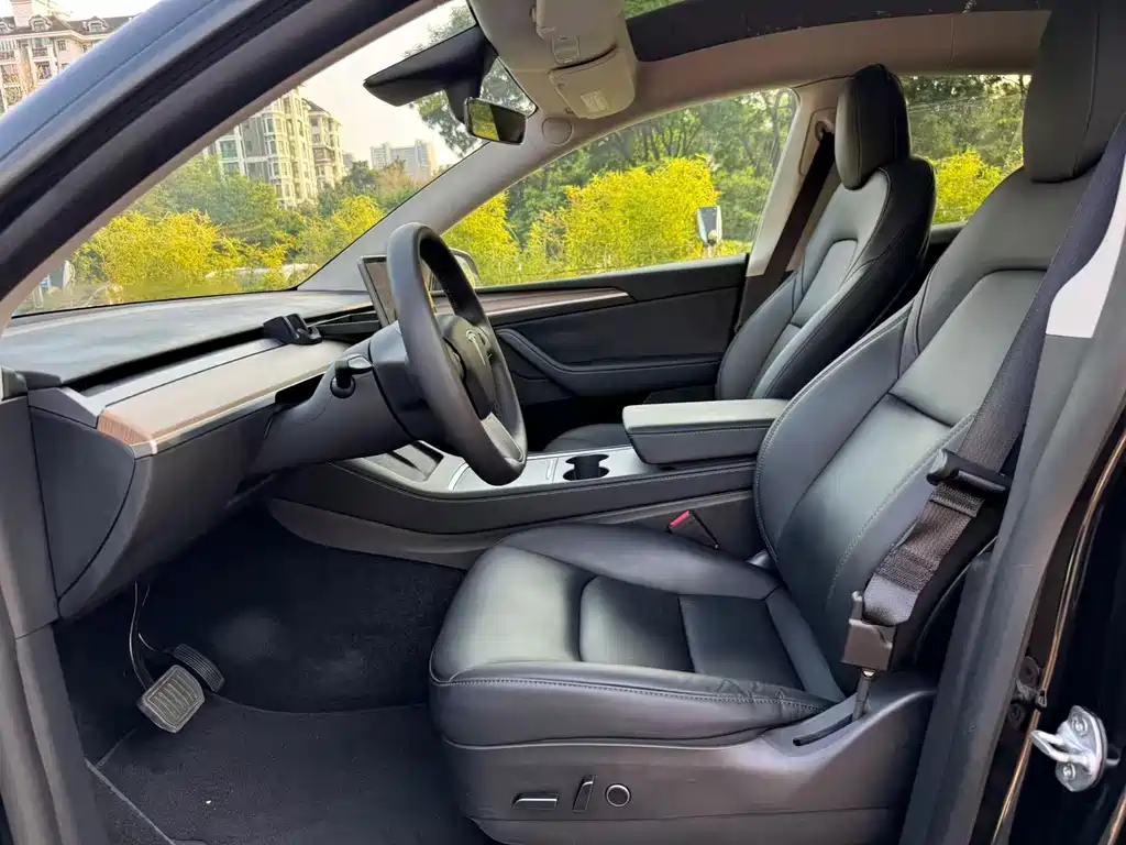 Tesla Model Y — миниатюра 7