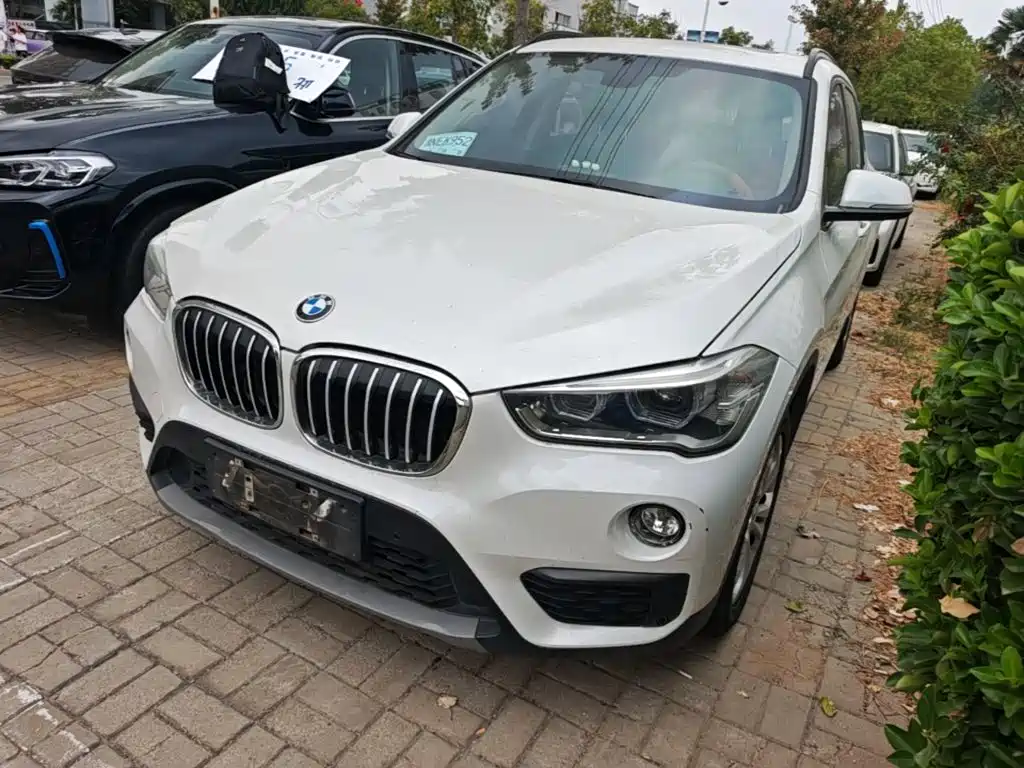 BMW X1 — миниатюра 2