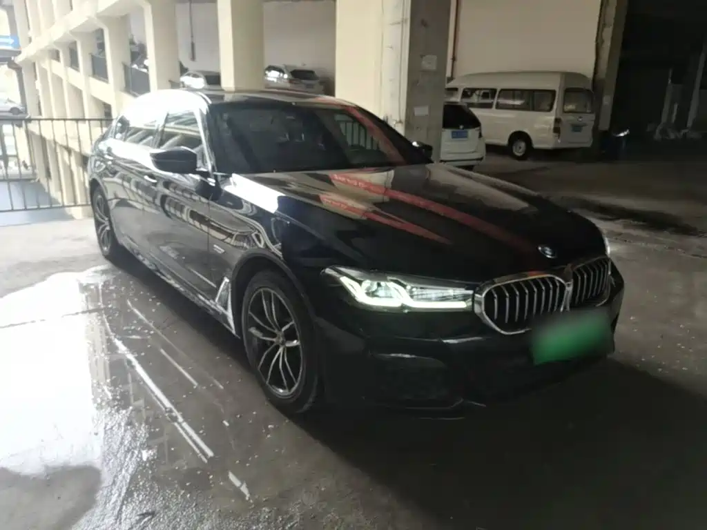BMW 5 Series New Energy — миниатюра 4