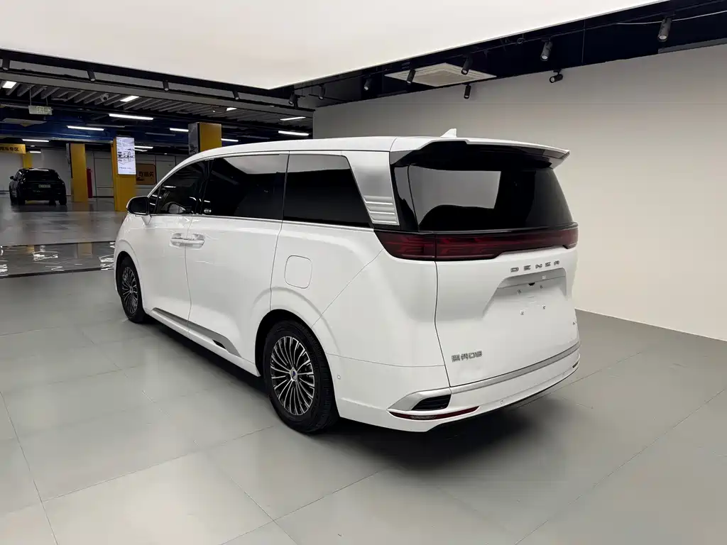 Denza Denza D9 — миниатюра 18