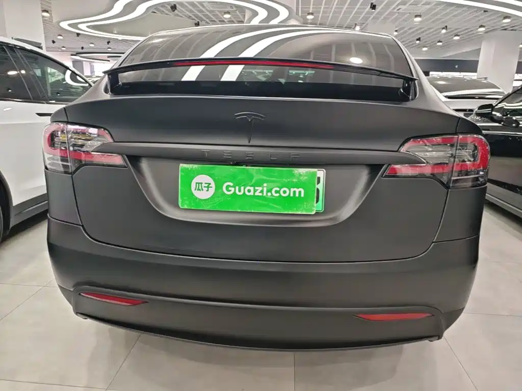 Tesla Model X — миниатюра 6