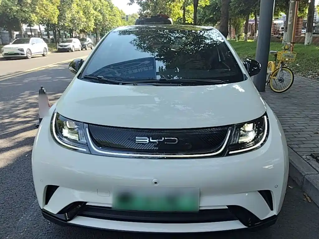 BYD Dolphin — миниатюра 3