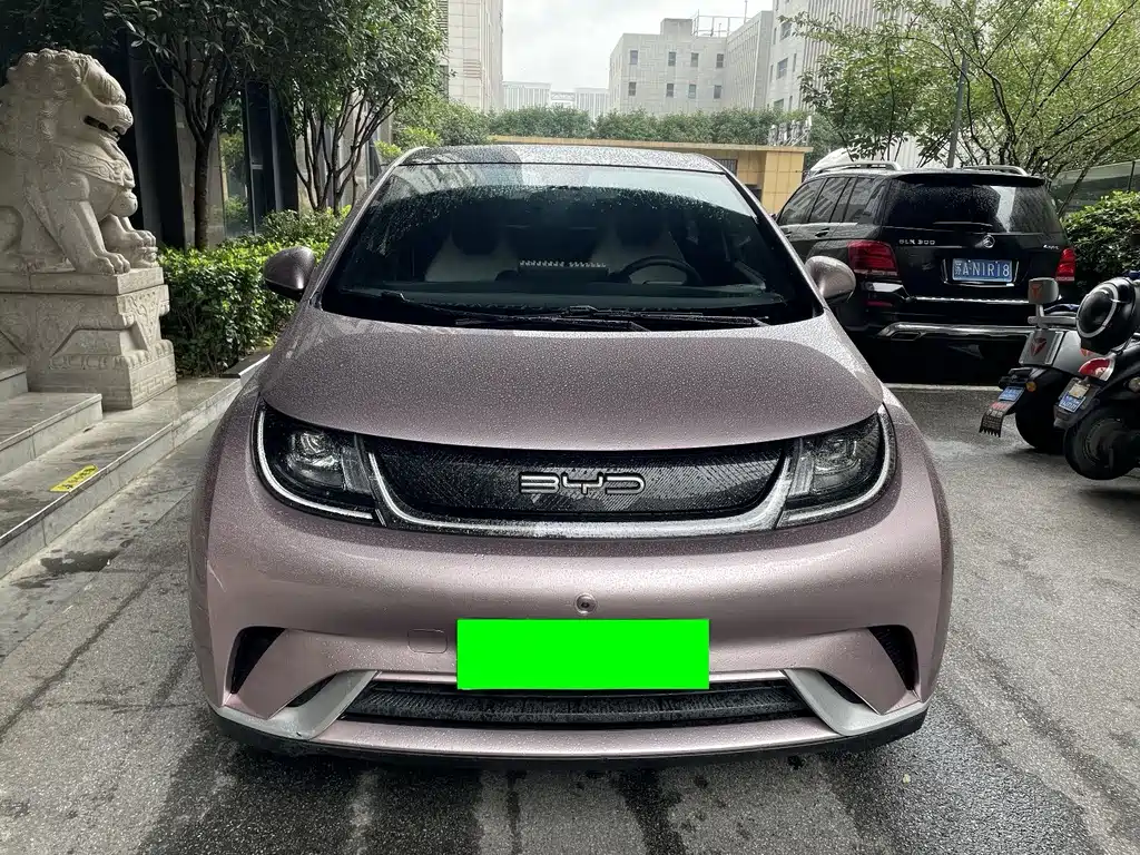 BYD Dolphin — миниатюра 2