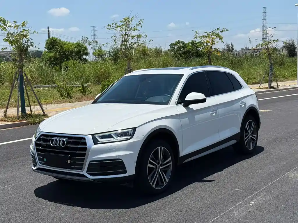 Audi Q5L 2020 45 TFSI Premium Wind Elegant Type