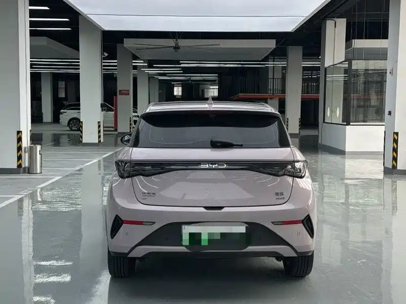 BYD Dolphin - фото 8