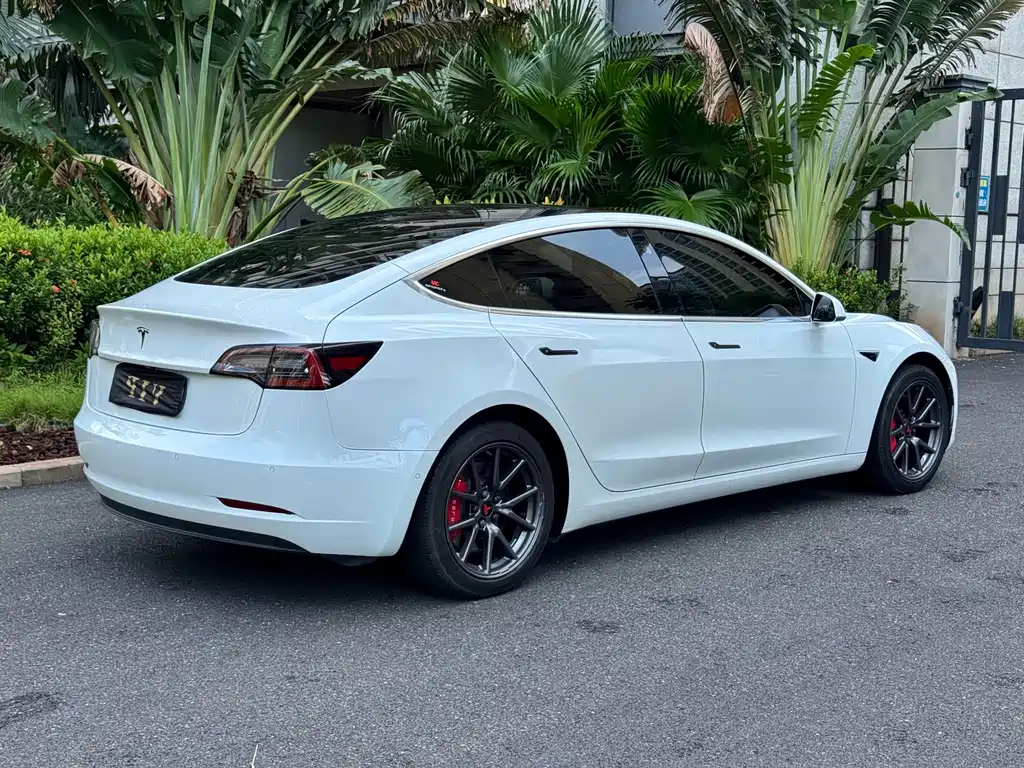 Tesla Model 3 — миниатюра 7