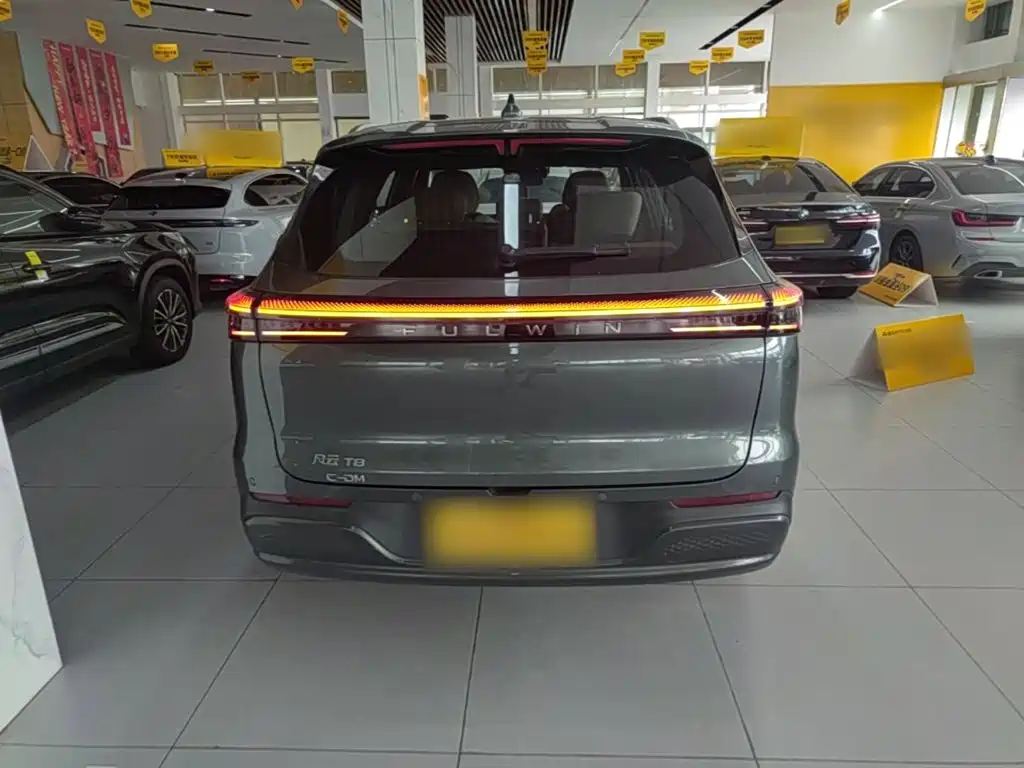 Fulwin Fengyun T8 — миниатюра 6