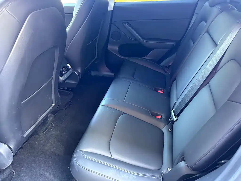 Tesla Model Y — миниатюра 6