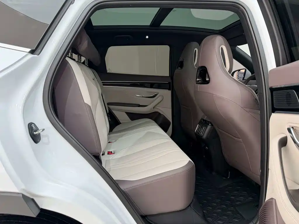 BYD PLUS New Energy — миниатюра 8