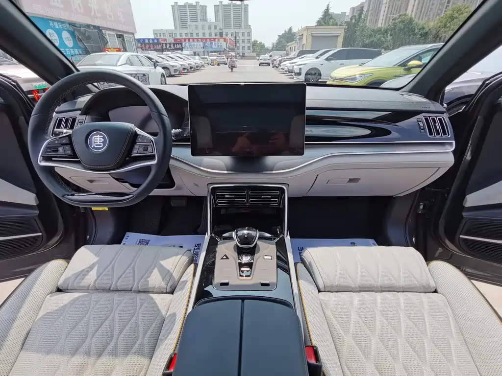 BYD Tang New Energy — миниатюра 9