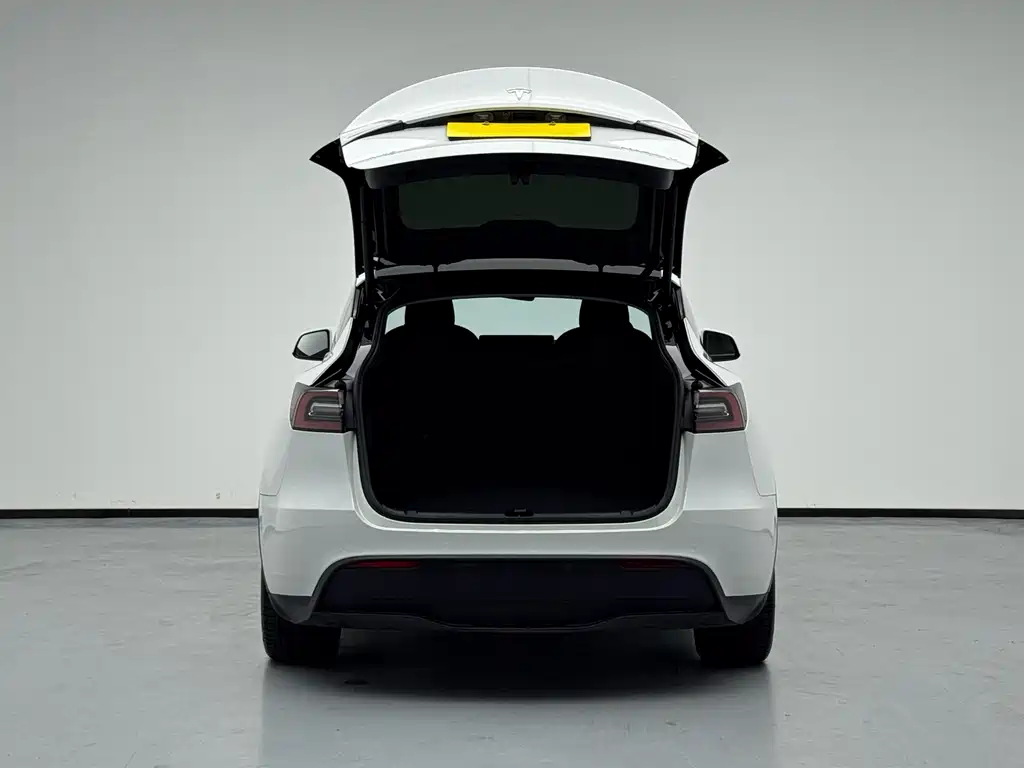 Tesla Model Y — миниатюра 5