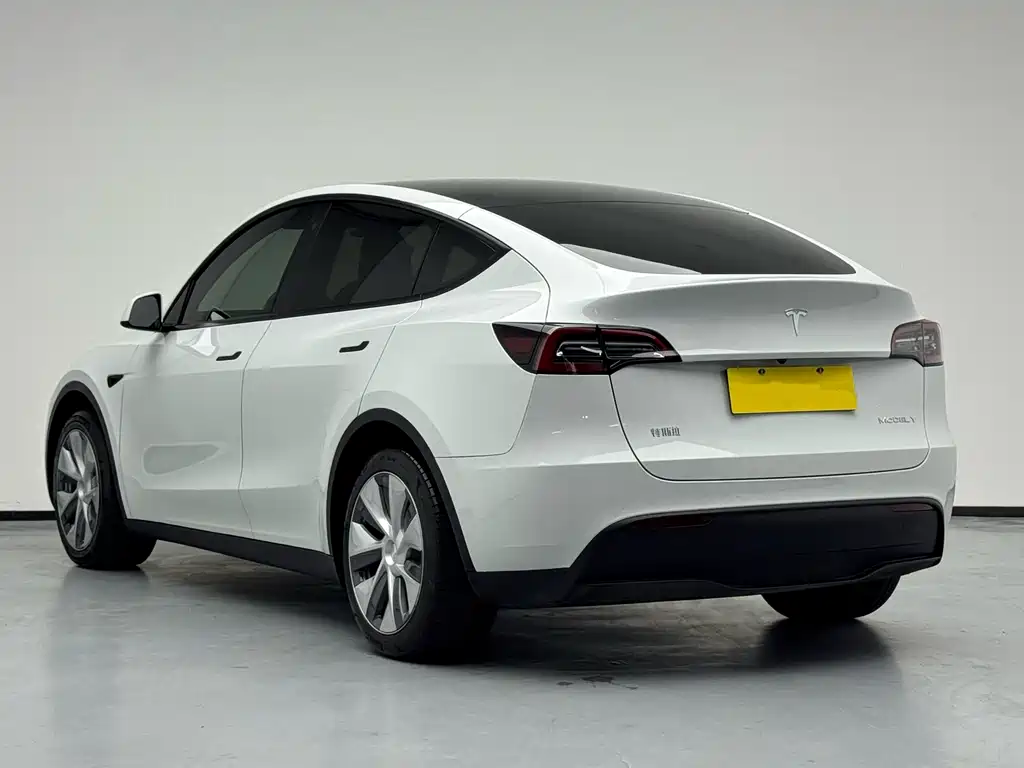 Tesla Model Y — миниатюра 4