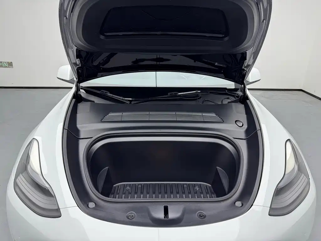 Tesla Model Y — миниатюра 17