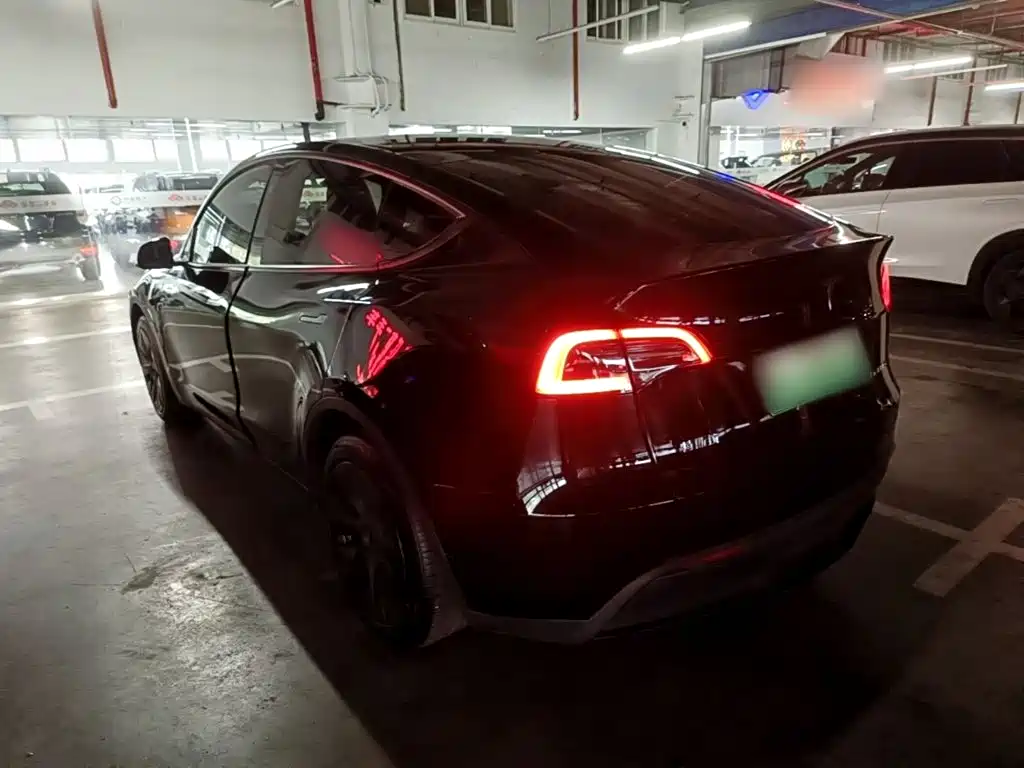 Tesla Model Y — миниатюра 5