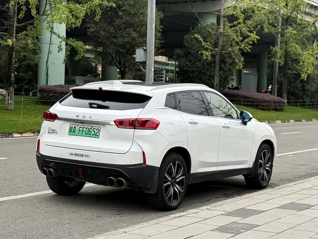 Wey Wey P8 — миниатюра 16