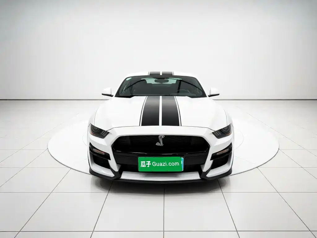 Ford Mustang — миниатюра 2