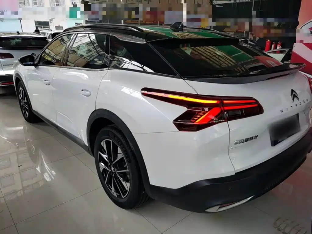 Citroen C5 X — миниатюра 5